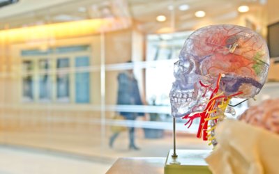 Concussion in Sport. Background